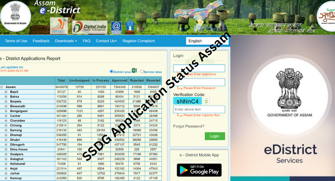 SSDG Application Status Assam